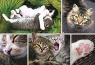 Trefl Puzzle Cat Affair 1500 pieces - Jigsaw Puzzle