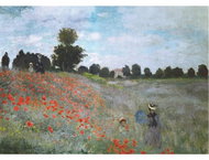 D-TOYS Puzzle Poppies 1000 pieces - Jigsaw Puzzle