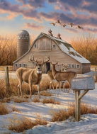 Cobble Hill Puzzle Country Trail 1000 pieces - Jigsaw Puzzle