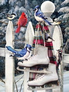 Cobble Hill Puzzle Birds with Skates 500 pieces - Jigsaw Puzzle