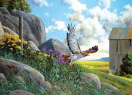 Cobble Hill Puzzle Take-off 500 Pieces - Jigsaw Puzzle