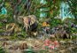 Educa Puzzle African Jungle 2000 pieces - Jigsaw