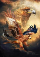 Art Puzzle Eagle 1000 pieces - Jigsaw Puzzle