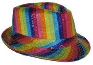Funny Fashion Rainbow hat with sequins - Costume Accessory