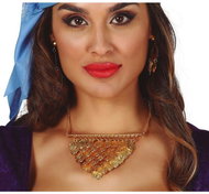 Funny Fashion Coin Necklace - Costume Accessory