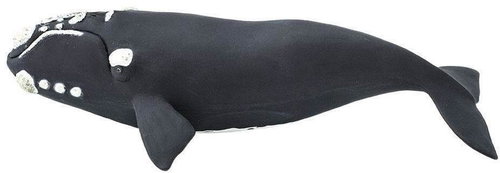 Safari Ltd. Figurine - Southern Right Whale - Figure - Main image