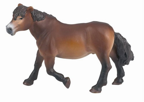 Papo the Exmoor Pony - Figure - Main image