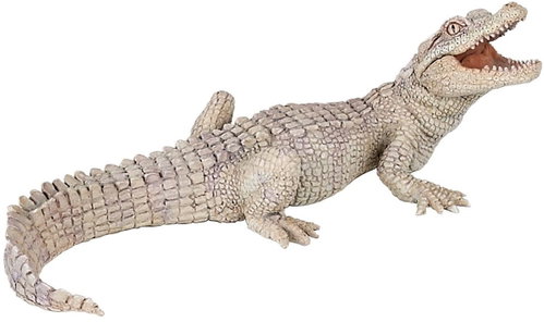 Papo White Crocodile Cub - Figure - Main image