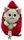 2in1 Cat / Chilli - Spicet