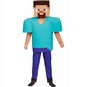 Kostým FunCo Dětský kostým Minecraft Steve 116-122 M - Kostým