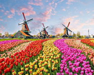 Gaira Diamantové malování Tulipány D6856 - Diamond Painting