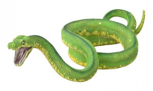 Collecta krajta zelená Hlavný obrázok Collecta krajta zelená - Figúrka - Hlavný obrázok