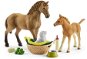 Schleich csikó és Quarter Horse készlet kiskutyával és kiegészítőkkel 42432 - Figura szett