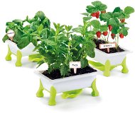 Educa Mein kleiner Garten - Erdbeere, Minze, Basilikum - Experimentierkasten