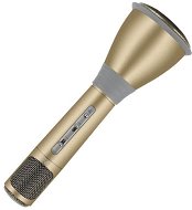 Eljet Karaoke Mikrofón Advanced zlatý - Detský mikrofón