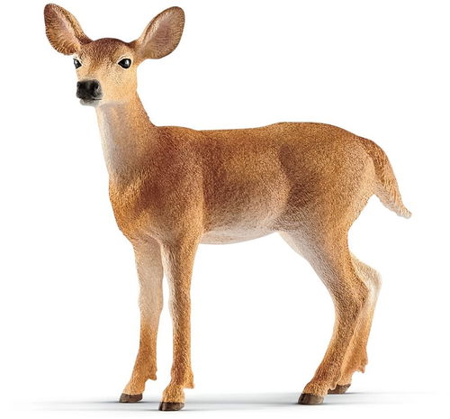 Schleich Laň jelena běloocasého 14819 - Figurka - Hlavní obrázek