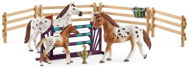 Set figúrok a príslušenstva Schleich 42433 set appalooske kone a tréningové príslušenstvo - Set figurek a příslušenství