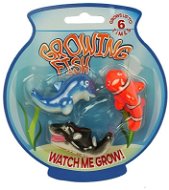 Growing Fish - Figure