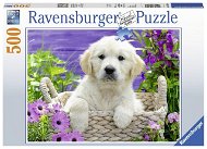 Ravensburger 148295 Aranyos golden retriever - Puzzle
