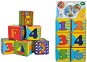 Simba Soft Blocks with Pictures - Picture Blocks