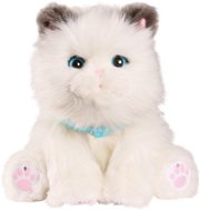 Little Live Pets My Dream Kitty - Interactive Toy
