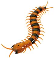 Wildroid Centipede - RC Model