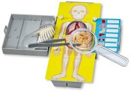 Anatómia - Oktató játék