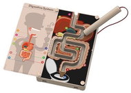 Kidzlabs Digestive system - Didactic Toy