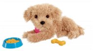 Scruffies šteniatko Charlie s miskou - Interaktívna hračka