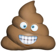 Impar Brown Poop – medium - Pillow
