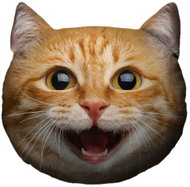 Impar Cat Head – Ginger – XXL - Soft Toy