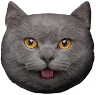 Impar Cat Head – Grey – XXL - Soft Toy