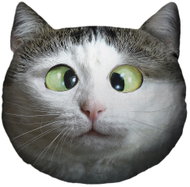 Impar Cat’s Head – Vykulvoč – XXL - Soft Toy