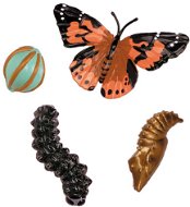 Insect Lore Životní cyklus - Motýl - Vzdelávacia súprava