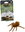 Climbing Animal - Tarantula
