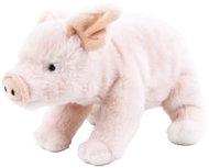 Rappa Piglet - Soft Toy