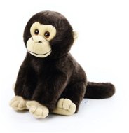 Rappa Soft Toy Monkey - Soft Toy