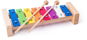 Woody Metal Xylophone - Children’s Xylophone