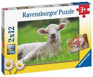 Mezőgazdasági haszonállatok, 2× 12 darabos - Puzzle