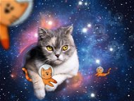 Mačka vo vesmíre 1500 dielikov - Puzzle