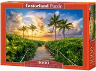 CASTORLAND Puzzle Sunrise in Miami 3000 dílků - Jigsaw