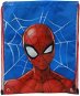 Spiderman bag - Backpack