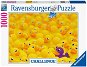 Puzzle Ravensburger 170975 Challenge Puzzle: Kacsák 1000 darab - Puzzle