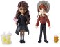 Figures Harry Potter double pack of figures with accessories Ron and Pavarti - Figurky