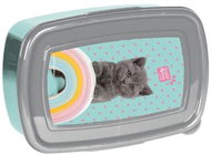 Paso snack box Kitten blue - Snack Box