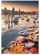 Dino Swans on the Vltava 1000 puzzle - Jigsaw Puzzle