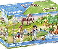 Playmobil Trip with ponies - Building Set