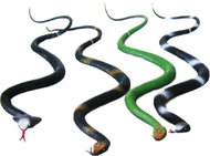 Rubber snake - Halloween - mix 4 types - 76 cm - Party Accessories