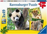 Ravensburger Puzzle 056668 Panda, Tiger und Löwe 3X49 Teile - Puzzle