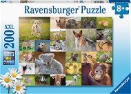 Ravensburger Puzzle 133536 Koláž Zvířecích Mláďat 200 Dílků  - Jigsaw